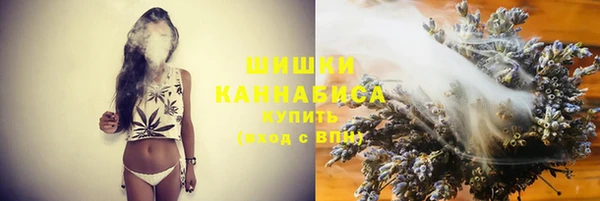 ПСИЛОЦИБИНОВЫЕ ГРИБЫ Баксан