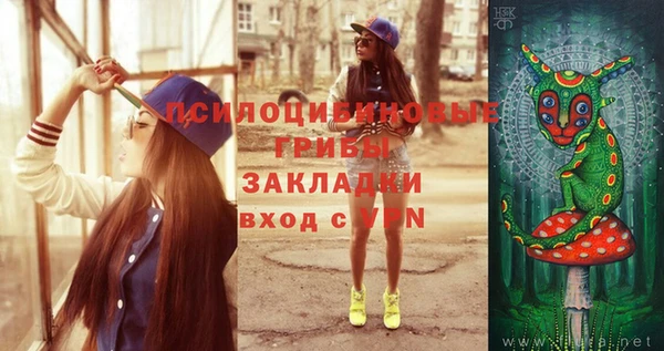 ПСИЛОЦИБИНОВЫЕ ГРИБЫ Баксан