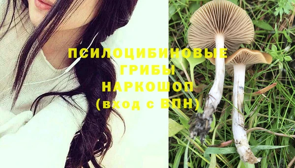 ПСИЛОЦИБИНОВЫЕ ГРИБЫ Баксан