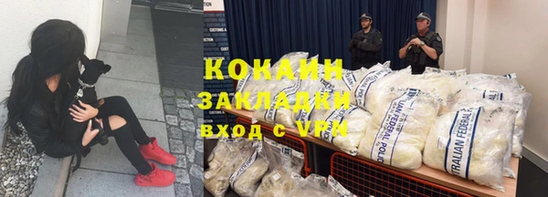 ПСИЛОЦИБИНОВЫЕ ГРИБЫ Баксан